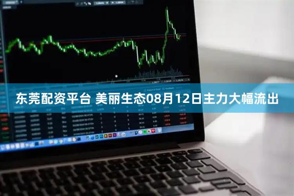 东莞配资平台 美丽生态08月12日主力大幅流出